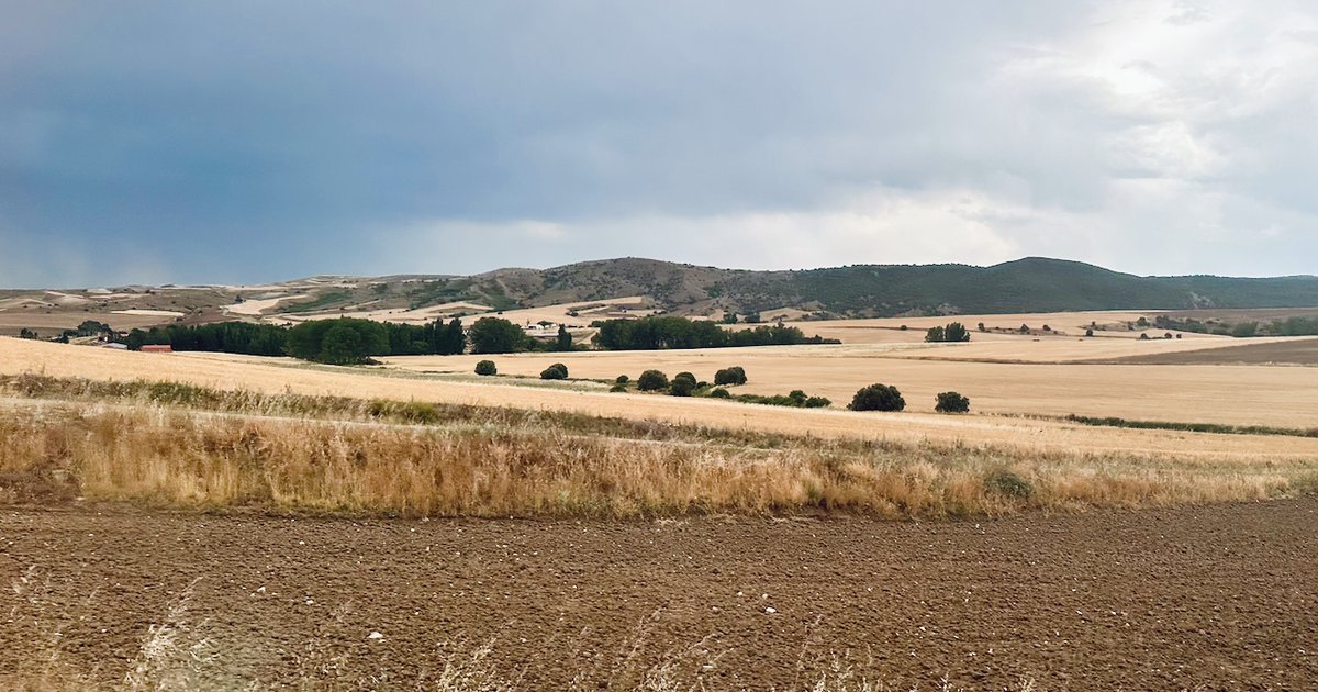 India's $315B AI Survival Thesis